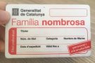 Els títols de família nombrosa i monoparental que caduquin durant el període de confinament per la covid-19 es renoven automàticament