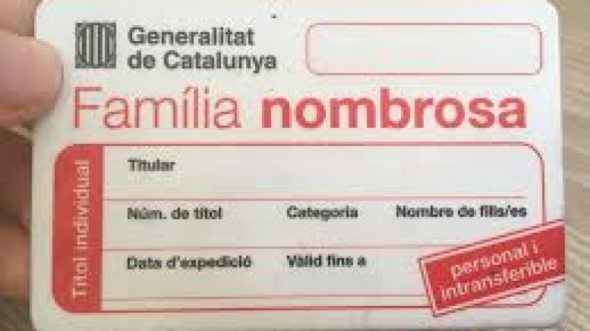 Els títols de família nombrosa i monoparental que caduquin durant el període de confinament per la covid-19 es renoven automàticament