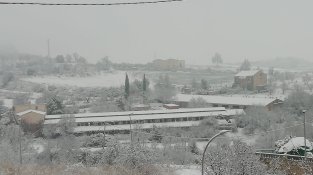 Sarral