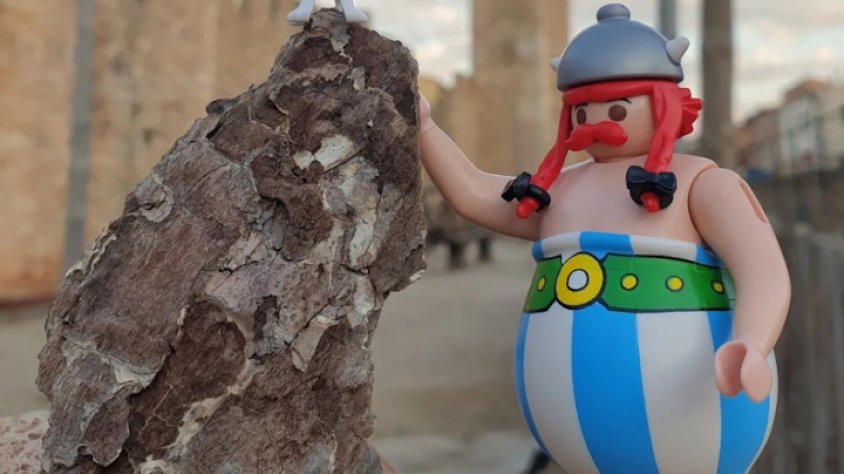 Ja es coneixen els guanyadors del setè concurs d’Instagram de Clickània