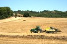 Agricultura manté les mesures de prevenció davant el risc  d’incendi que es manté alt en moltes comarques