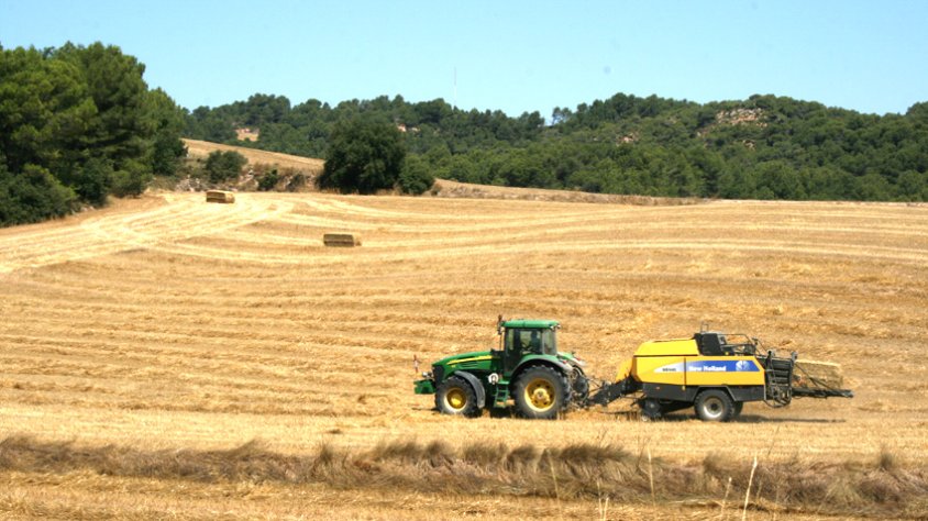 L’activitat al camp requereix molta cautela.