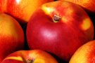 Alimentació ecològica a Catalunya el 2011