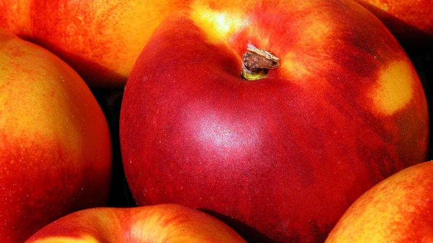 L’agricultura ecològica guanya cada any més adeptes.