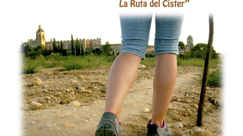 Cartell del concurs.