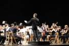 Nits Musicals a la Brufaganya  per a aquest estiu 2013