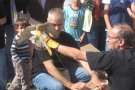 L’Associació Ornitològica Baixa Segarra  celebra el Dia Internacional de les Aus