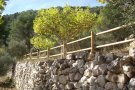 L’Ajuntament de Montblanc segueix realitzant millores a l’entorn de l’ermita de Sant Josep