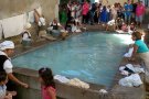 Balaguer guanya el càsting de safareig i acollirà una escena del film Barcelona 1714