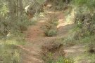 El Club BTT Montblanc neteja i recupera senders de la zona de Sant Joan