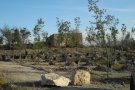 Plantada d’arbres a l’entorn de la Capelleta de Sant Magí