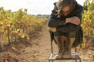 La videoprojecció Freiheit arribarà també a Valls