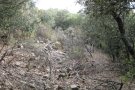 Treballs per reobrir el camí ramader del monestir de Poblet a Prades