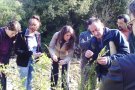 Més de cinquanta persones en l’activitat per conèixer l’ofici del sargaire