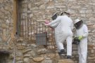 Un eixam d’abelles a Montbrió