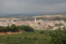 VIII Caminada Popular a Sarral, aquest dijous 1 de maig