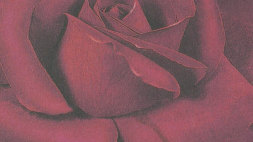 Portada del llibre