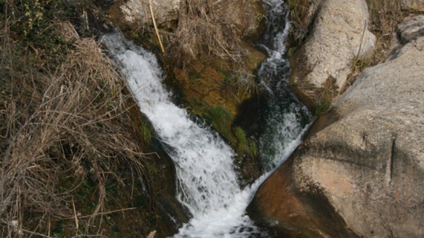 Riu Francolí