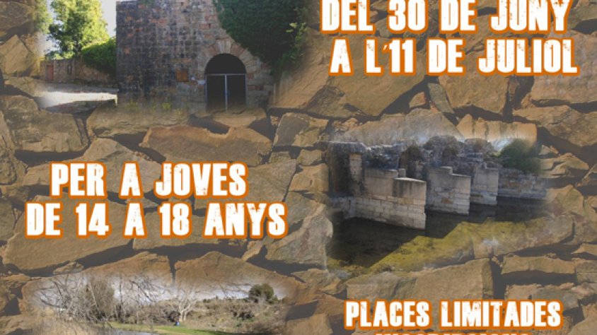 Cartell de les activitats
