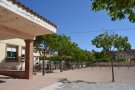 Tarda d’activitats de l’AMPA les Muralles en favor de la Marató de TV3