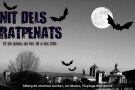 La Nit dels Ratpenats, al Paratge Natural de Poblet
