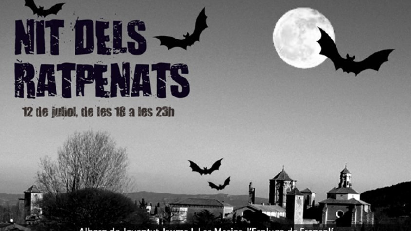 Cartell de l'activitat