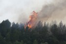 Elevat risc d'incendi forestal a la Conca de Barberà
