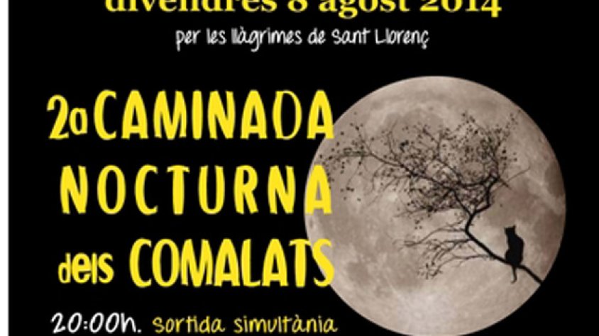 Cartell de la caminada