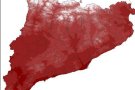 Agost i estiu sense calorades extremes i amb rècords de precipitació