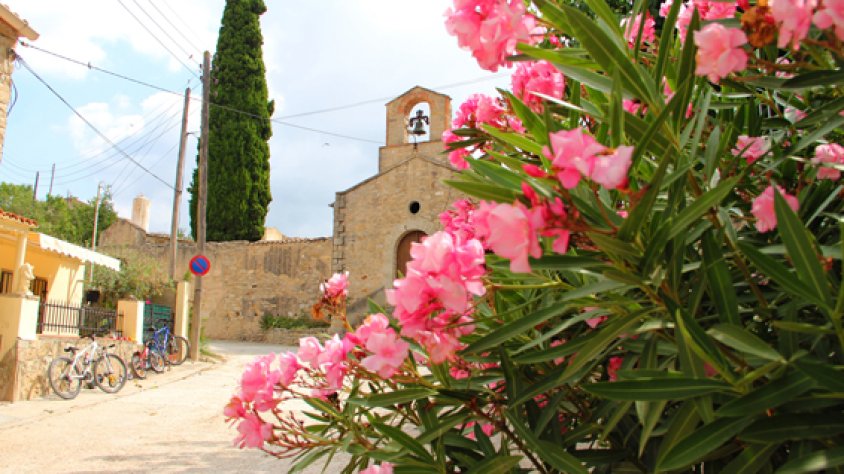 Vallverd