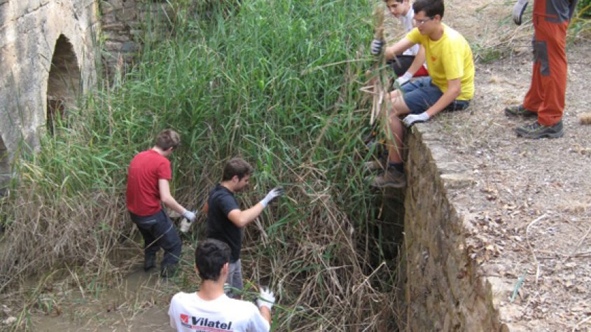 Camp de treball realitzat aquest estiu