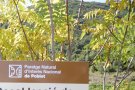 Territori i Sostenibilitat licita la millora de la senyalització del Paratge Natural de Poblet