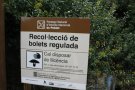El 7 d’octubre s’inicia el període de recol·lecció de bolets amb autorització al Paratge Natural de Poblet