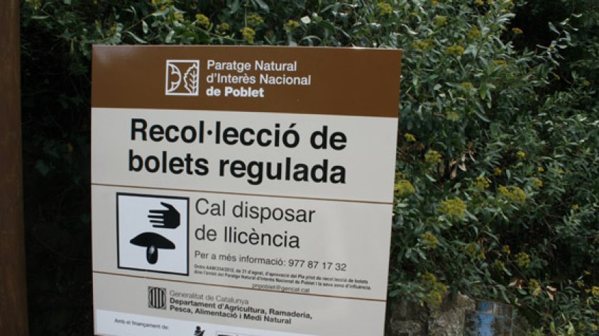Cartell informatiu