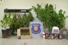 Imputat per cultivar marihuana en un pis a Barberà de la Conca