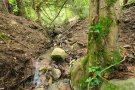 Territori i Sostenibilitat adjudica ajuts per a actuacions al Paratge Natural de Poblet