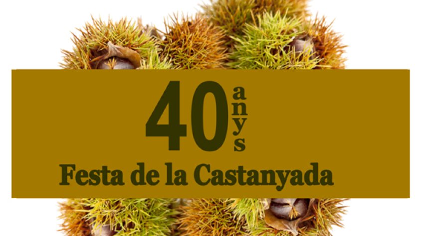 Cartell de la festa d'enguany