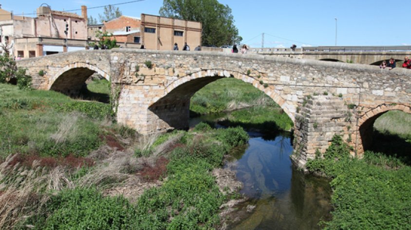 Imatge del Pont Vell