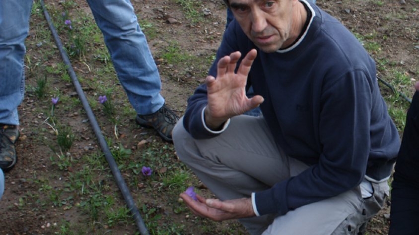 Joan Cartanyà