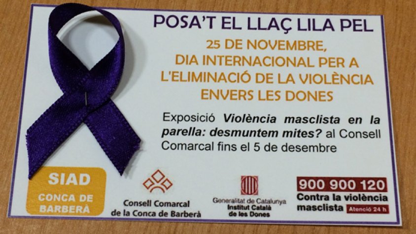 Llaç lila que trobareu al Consell Comarcal