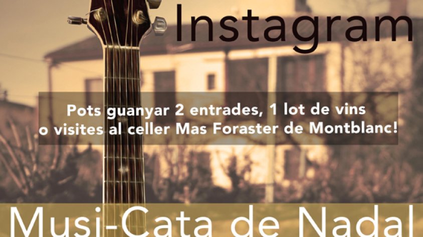 Cartell del concurs