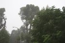 El novembre ha estat càlid i molt plujós