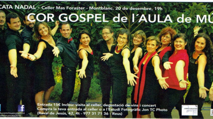 Concert a càrrec de l'Aula de Músics de Tarragona