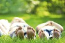 Consells per a unes vacances segures