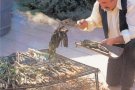 Campanya de promoció de la calçotada i les visites guiades a Montblanc