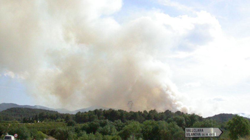 L'incendi va tenir lloc el juny del 2006