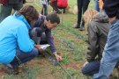 Montblanc proposa diverses activitats turístiques entorn de la natura local