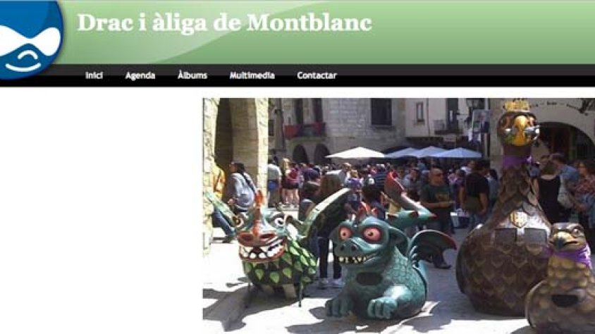 Imatge de la pàgina web