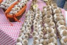 El 5 d'agost, Festa de l'all de Belltal