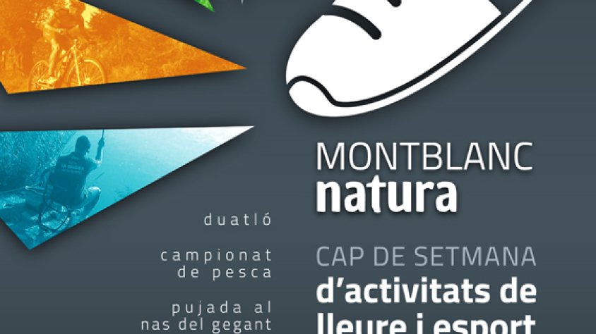 Cartell de les activitats